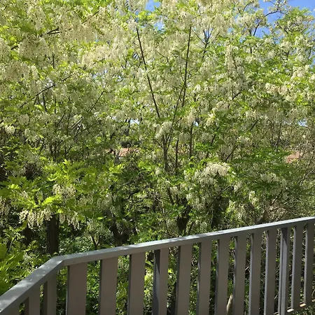 Bel Alp Hotel Manosque