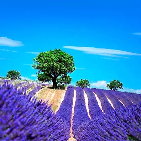 Bel Alp 2* Manosque