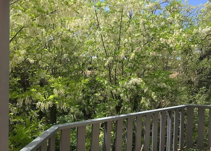 Bel Alp Отель Маноск